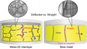 Schematic of metal on flexible substrate being flexed with and without 2D material interlayer